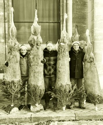 Distribution des sapins de Noël